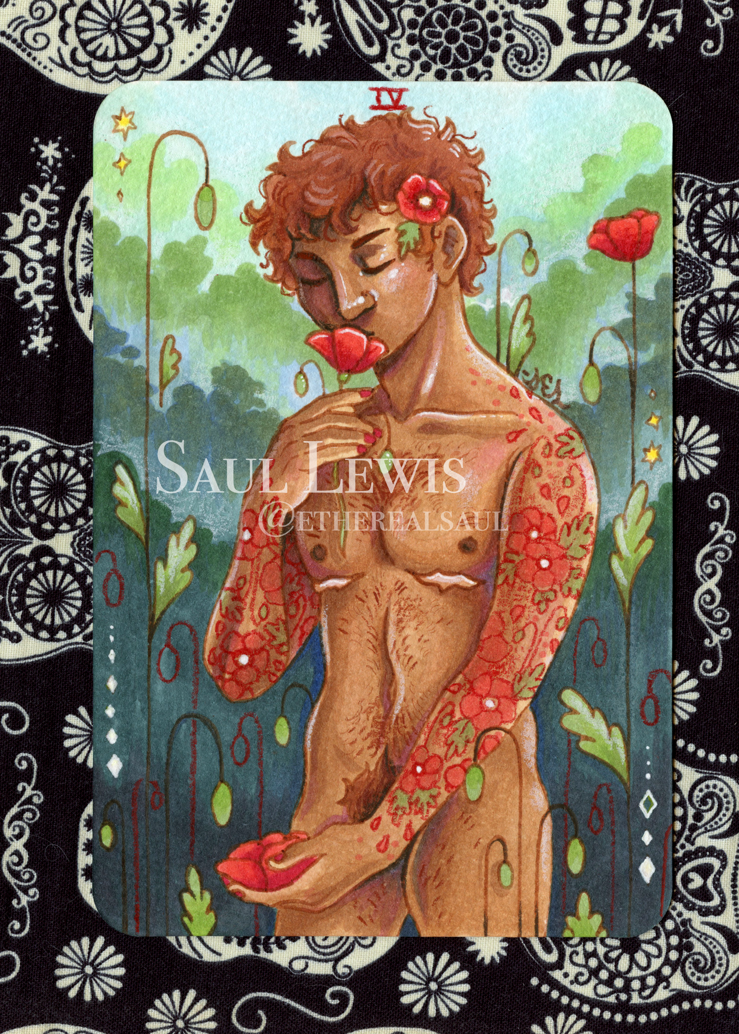 Poppies, The Four of Cups ~ Original Mixed Media Drawing